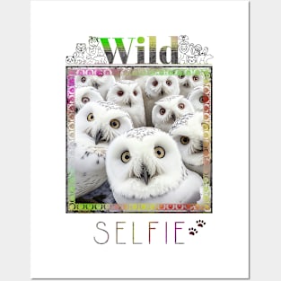 Owl Bird Wild Nature Funny Happy Humor Photo Selfie Posters and Art